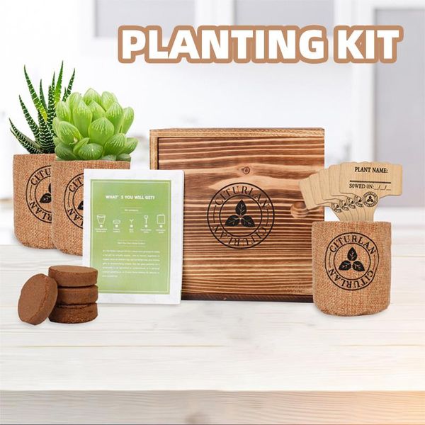 

planters & pots home deskbonsai decoration family potted landscape plant set indoor growth introduction #4