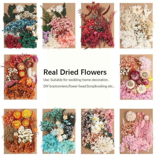 

decorative flowers & wreaths pressed mini dried diy scrapbooking decoration candle birthday party wedding for home z8s9