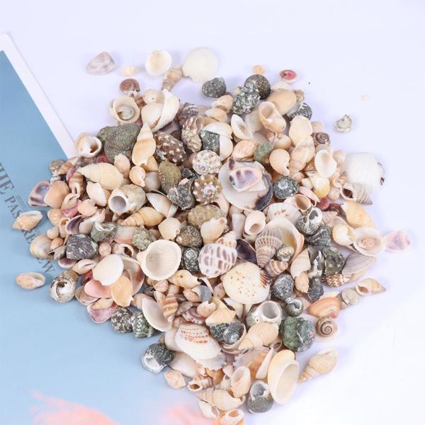 

novelty items 1 pack natural mini shell conch decors sea style ornaments for home aquarium landscape