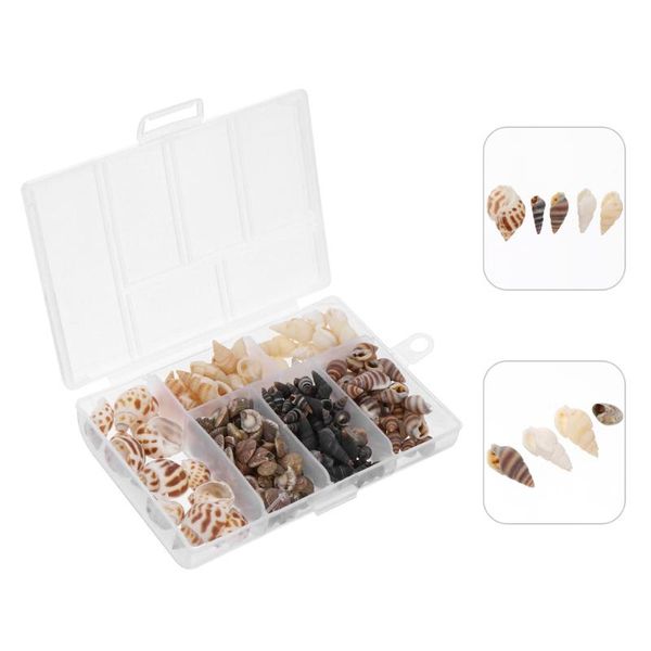 

decorations 1 box natural conch shell ornaments aquarium fish tank landscaping