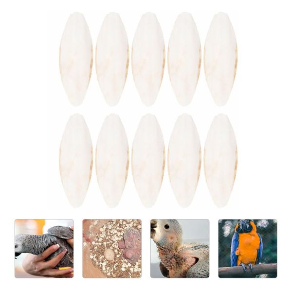 

other bird supplies 10 pcs parrot chew toys cuttlebone molar teeth grinding