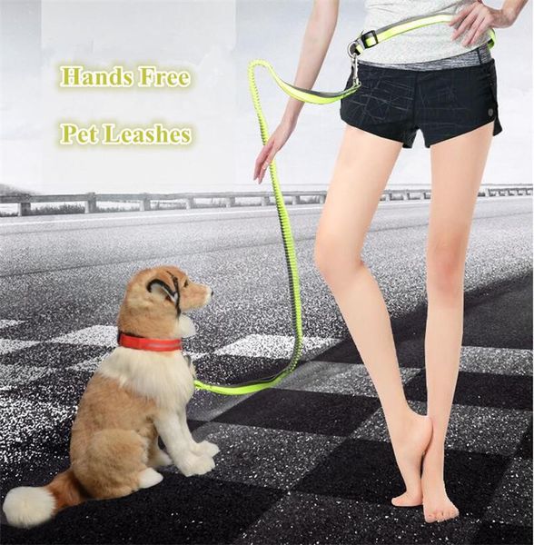 

dog collars & leashes hands pet nylon pull strap for meidum and big dogs b36