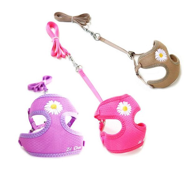

dog collars & leashes pet cat harness leash adjustable breakaway strap collar with rope leads for kitten puppy small dogs walking