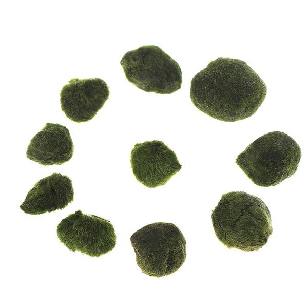 

2cm-5cm marimo moss ball fake stone simulation planthome office plant wall decor diy decoration for shop window el decorations