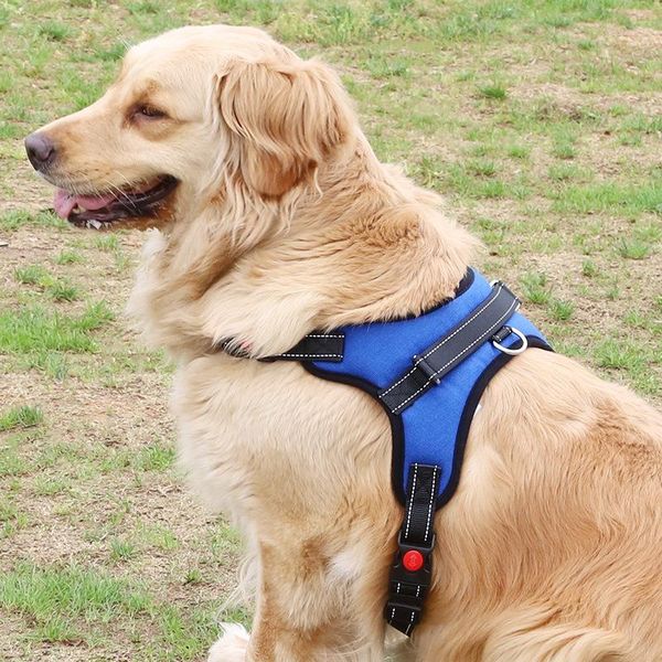 

dog collars & leashes pet chest strap explosion-proof breathable mesh harness leash with adjustable straps supplies