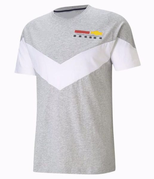 F1 cultura de corrida camisa POLO Fórmula 1 camisa de manga curta de secagem rápida motocicleta em torno do pescoço T-shirt e pista de corrida ciclismo 301w