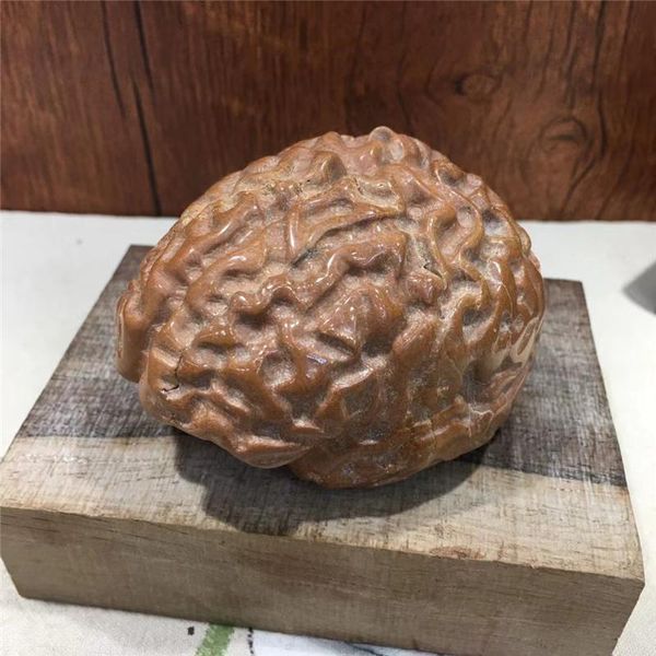 

decorative objects & figurines 3" natural crystal stone brain energy healing for home decoration