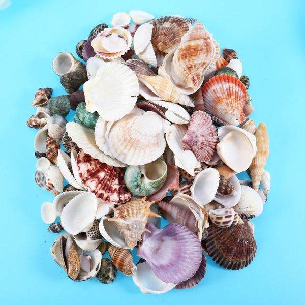 

novelty items 1 set/21pcs natural conch shell fish tank landscaping ornaments diy aquarium shells pography props