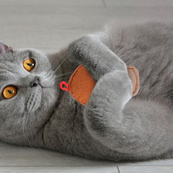 

cat toys 6pcs catnip pet chew plaything adorable kitten interactive