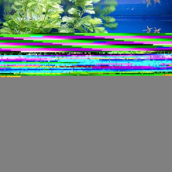 

decorations 2pcs aquarium adornments decorative ceramic artware fish tank landscape ornament