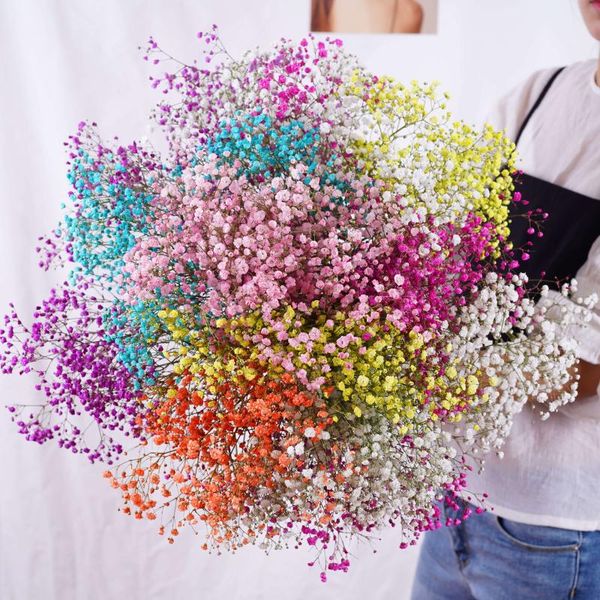 

decorative flowers & wreaths dried baby's breath preserved natural gypsophila paniculata flower wedding decoration home fleurs sechees