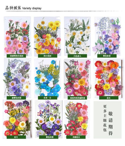 

decorative flowers & wreaths pressed small dried scrapbooking dry diy preserved flower decoration home material embossed face petal