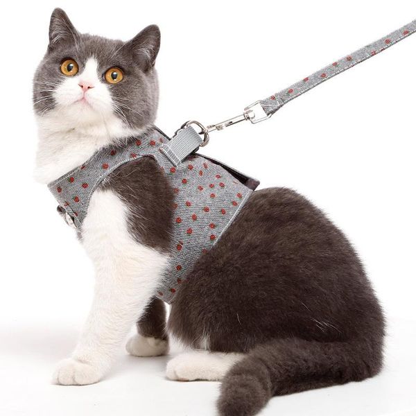 

cat collars soild color with lace walking traction floral denim vest & leads