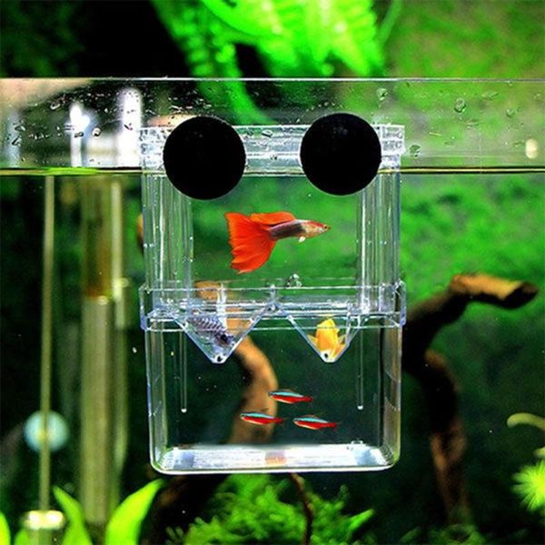 

aquariums multifunctional high clear fish breeding isolation box aquarium breeder tank double guppies hatching incubator