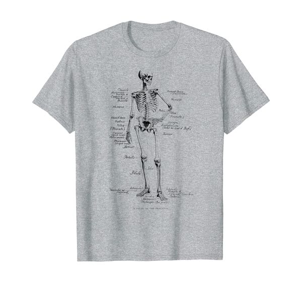 

Human Skeleton Anatomical Skeleton bones funny gift T-Shirt, Mainly pictures