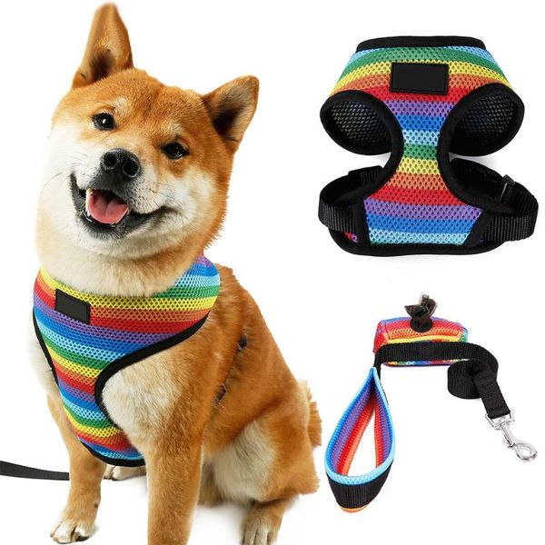 

dog collars & leashes rainbow cat harness set pet adjustable reflective vest walking lead leash for puppy rope chest clothes with bag