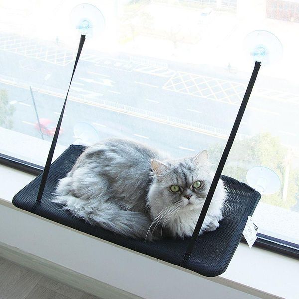 

cat beds & furniture suction cup hanging bed sofa basking in the sun durable seat window hammock pets