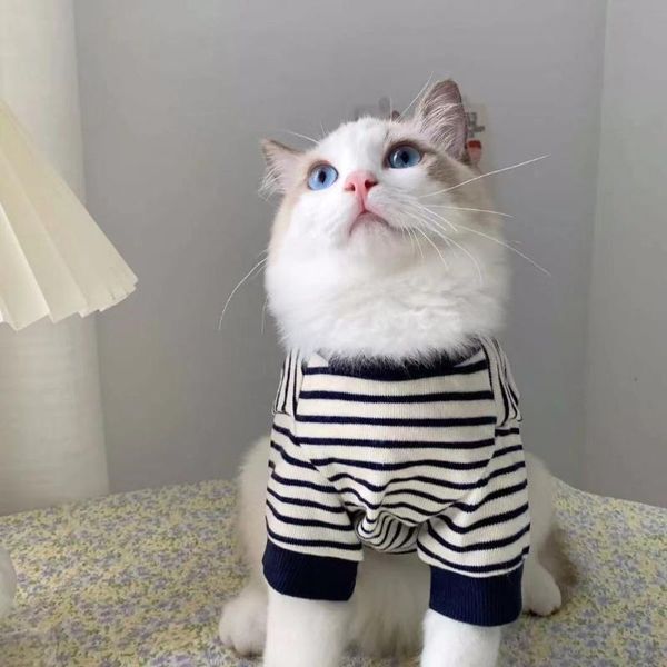 

cat costumes [2021 ] south korea ins clothes autumn small milk cats cute puppets anti-hair spring and clothes.