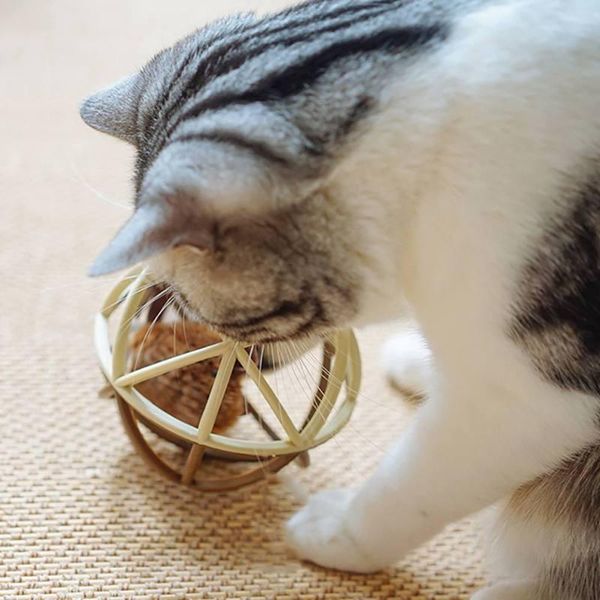 

cat toys pet ball hamster interactive hollow molar toy supplies matatabi