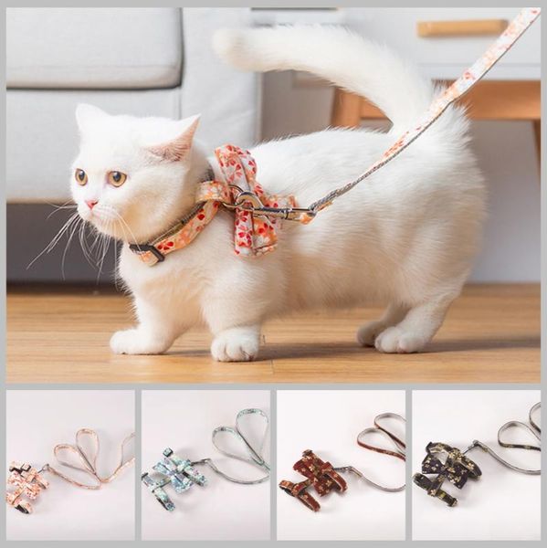 

cat collars & leads 2021 desgin leash pet set outdoor walking dog collar for cats
