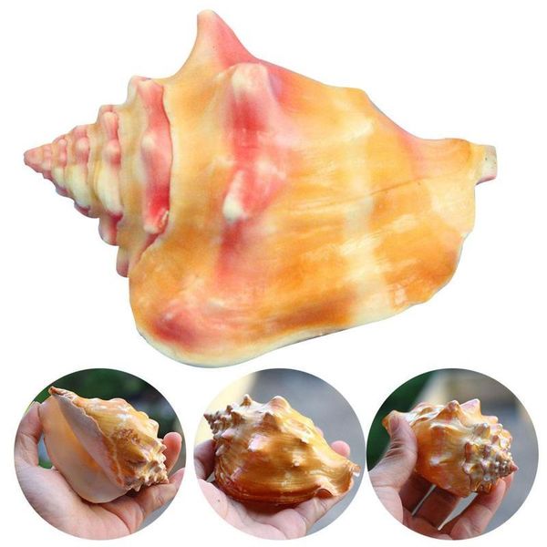 

novelty items natural shell large conch carmine fish tank landscape aquarium decoration props home display crafts sea snail