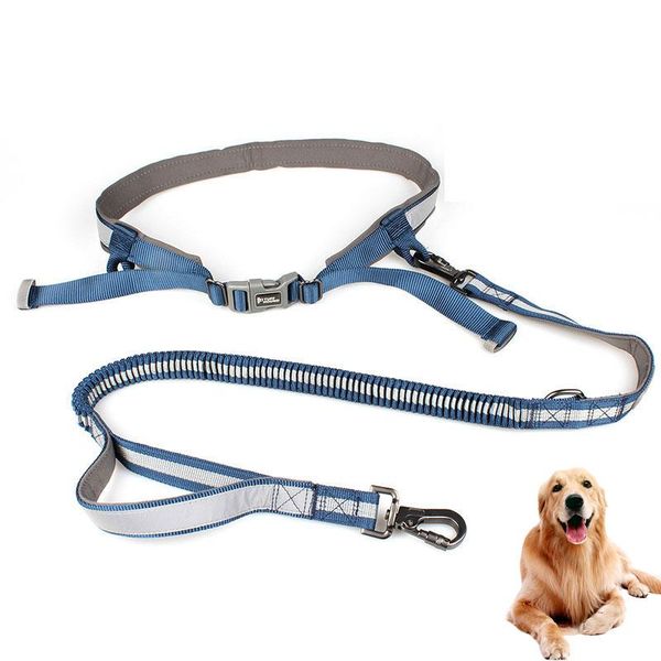 

dog collars & leashes elastic belt running large leash lead sports jogging walking big collar rope morning run hand waist set