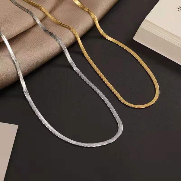 

chains voerynt classic flat snake bone chain necklace female simple titanium steel gold color luxury clavicle jewelry rn067, Silver
