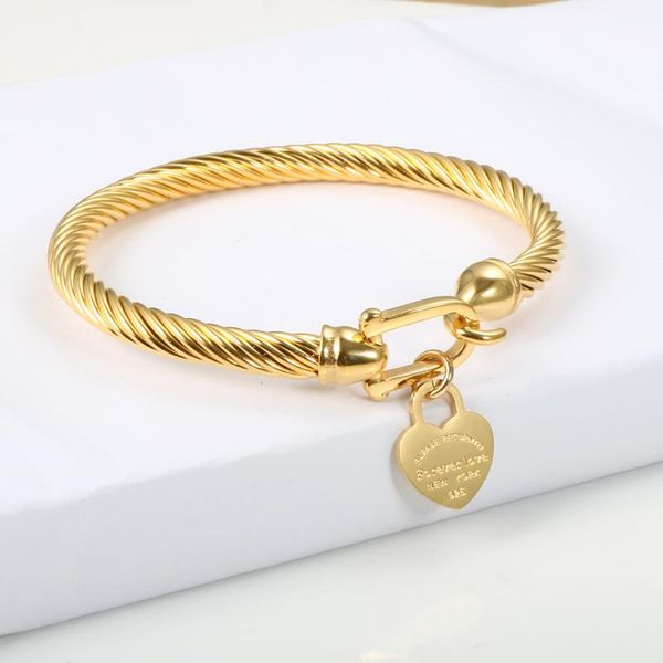 

titanium steel cable wire gold color love heart charm bangle bracelet with hook closure for women men wedding jewelry gifts, Black