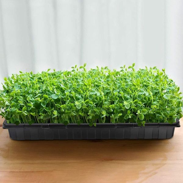 

garden durable seed starter growing trays kit flower seeds vegetables nursery courtyard seedlings plants pots 1/5/10 pcs planters &