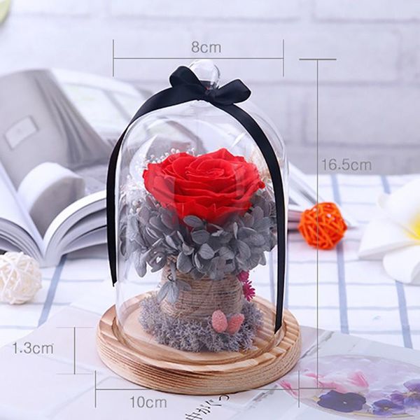 

red rose romantic ornament everlasting with glass cover on a wooden base for valentine's gifts lamps wedding party decorative flowers &