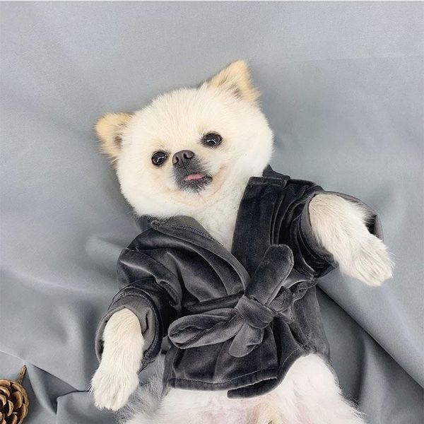 

dog apparel clothes bath towel bathrobe pet poodle bichon schnauzer pug clothing coat costume product pajamas