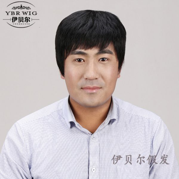 

men's ibel wig natural ventilation real hair recruitment 8815, Black