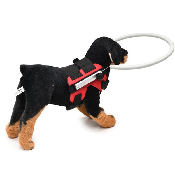 

collar blind dog harness anti collision outdoor walking protective ring sick eyes pet visually impaired guide cat vest circle collars & leas