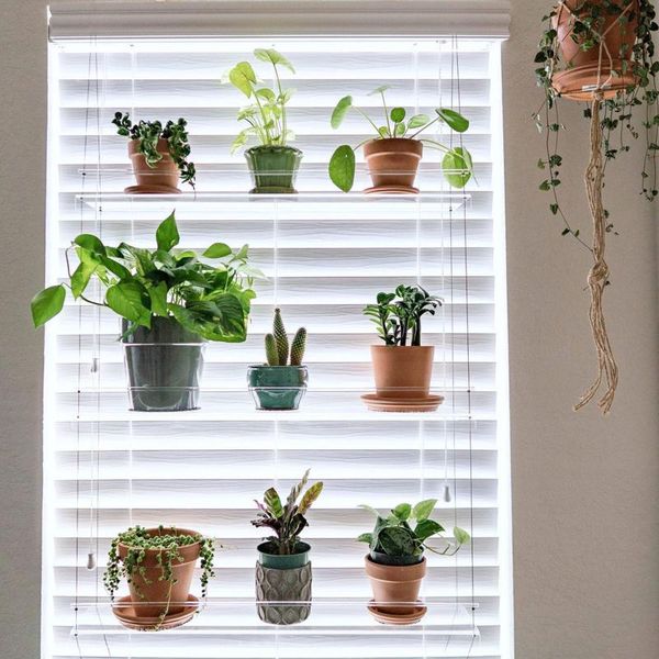 

40# shelf for plants window bathroom or kitchen plant hanging shelves stand indoor garden decor planters & pots