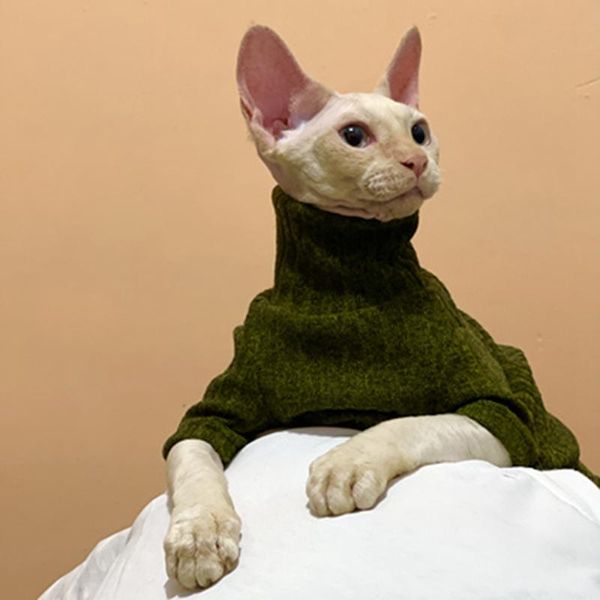 

cat costumes winter warm sphinx hairless turtleneck sweater base coat solid color stretch soft devon clothes