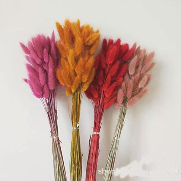 

decorative flowers & wreaths 100pcs/lot nature dried flower,real retro lagurus ovatus flower for diy wedding favor home room po frame gift b