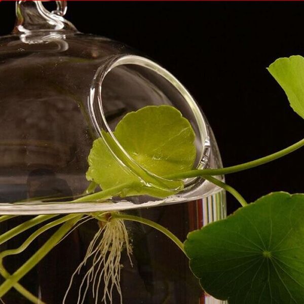 

vases vase hanging flower glass bottle hydroponic terrarium home decoration l