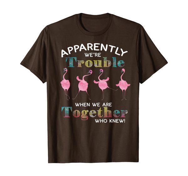 

Apparently We're Trouble Dancing Flamingoes Shirt, Mainly pictures