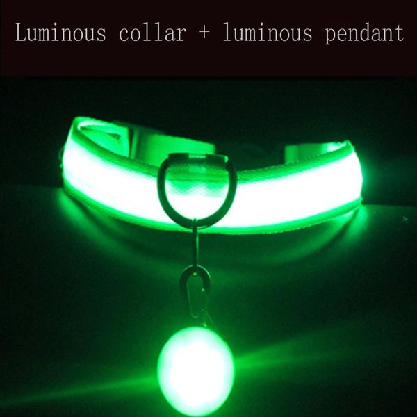 

dog collars & leashes pet supplies collar cat glow teddy golden feather samoyed glow-in-the-dark pendant