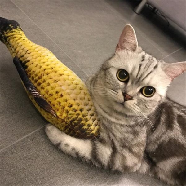 

cat toys realistic toy fish catnip mint stuffed pet interactive chewing simulation crucian carp 20cm