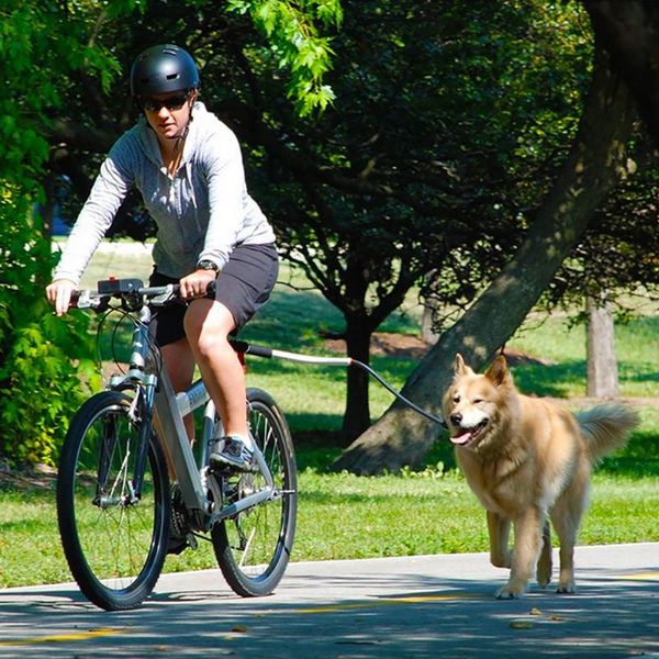 

dog collars & leashes nylon elastic bicycle traction belt rope leash bike attachment pet walk run jogging distance keeper hand pets lea