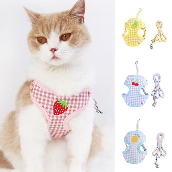 

dog collars & leashes summer fruit pet leash cat chest harness and set collar vest walking rope accessories