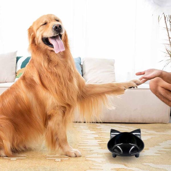 

sell cute pet supplies candy color plastic dog bowl feeding water puppy feeder cat bowls & feeders