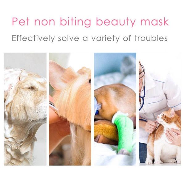 

cat collars & leads 100% good pet gold edge circle elizabeth bite selling household products