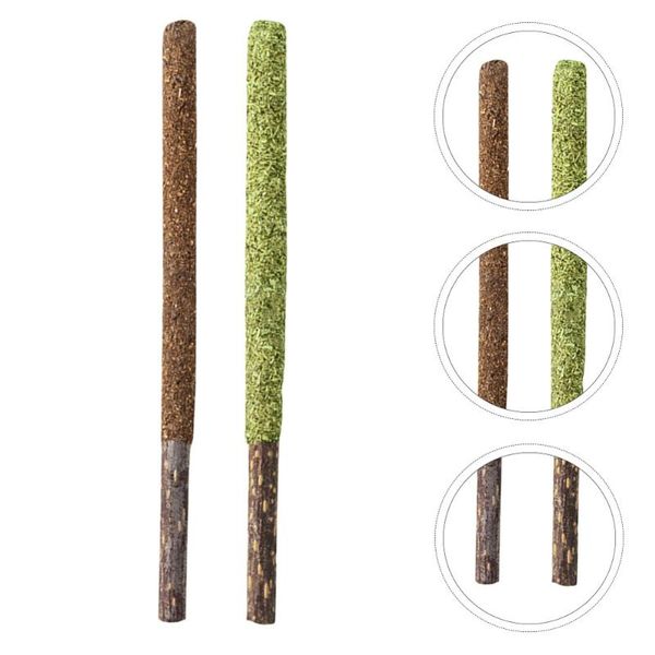 

cat toys 2pcs licking sticks catnip insect gall fruit