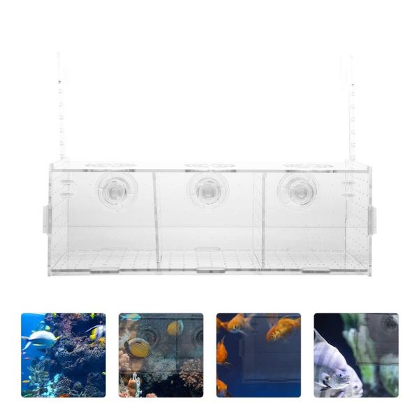 

aquariums acrylic transparent fish tank breeding isolation box aquarium incubator