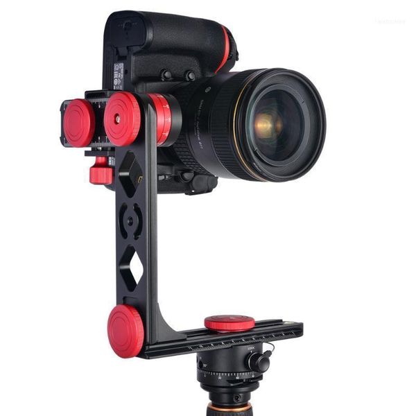 

720b 720 panoramic head w/arca-swiss standard ball quick release plate carry bag for nikon dslr camera r3511