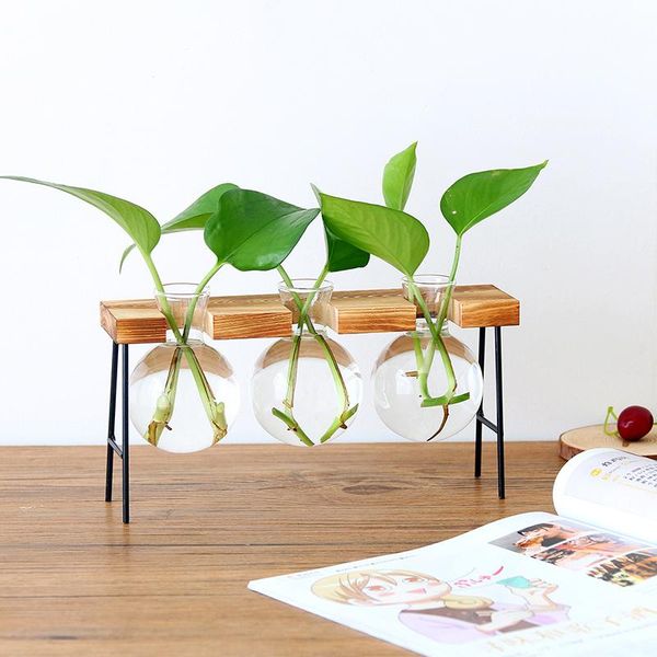 

glass bottle vase hydroponic plant transparent wooden frame coffee shop room decor table desk decoration terrarium planters & pots