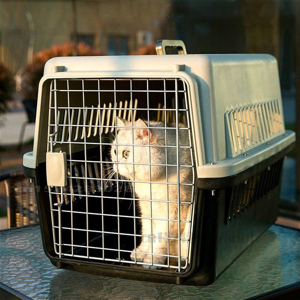 

pet box out air car dog cage universal cat portable large space removable stuff seat covers