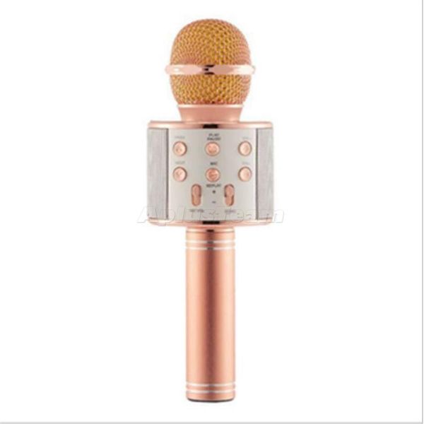 WS 858 Kablosuz USB Mikrofon Profesyonel Kondenser Karaoke Mic Standı Radyo Mikrofon Stüdyo Kayıt Stüdyosu Bluetooth Yüksek Kalite